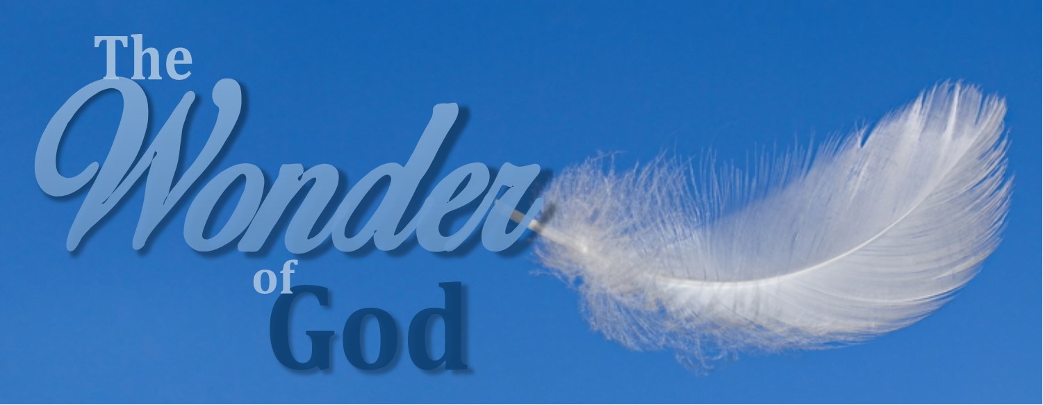 The wonder of God banner